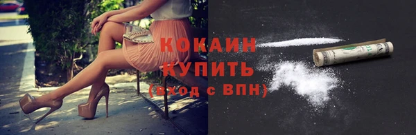apvp Алексин