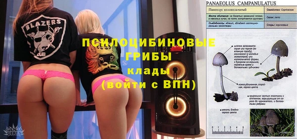 бошки Нефтегорск