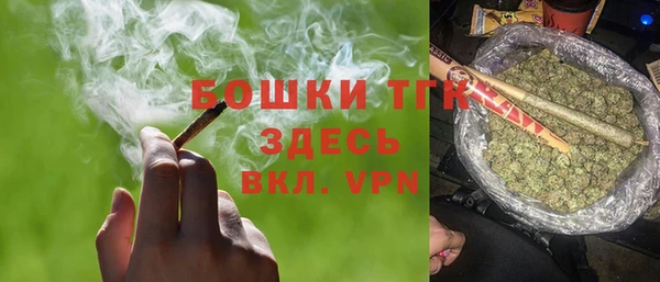 прущие грибы Алзамай